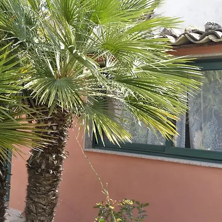 Arancia B&B